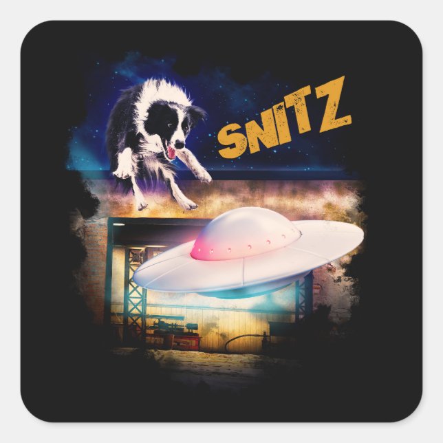 sticker Snitz from Bob's Saucer Repair (Front)