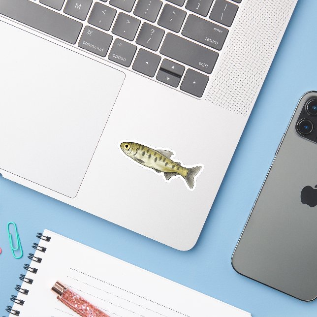 Sticker Sockeye Saumon Parr (Ordinateur portable avec iPhone)