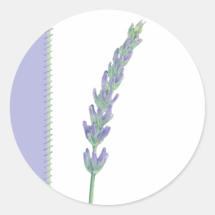 Sticker Sprig Lavender