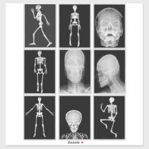 Sticker squelette Crâne corps humain XRAYS Collage feuille