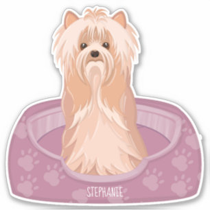 Sticker Stick d'anniversaire du Terrier du Yorkshire