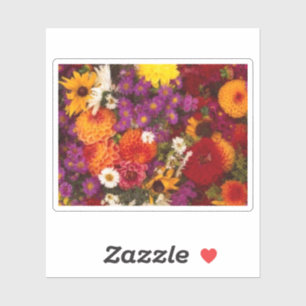 Sticker Stickera de vinyle coupé sur mesure