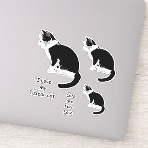 Sticker Stickset chats Tuxedo noir et blanc