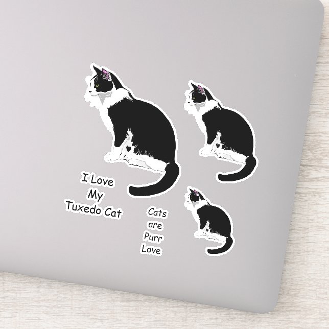Sticker Stickset chats Tuxedo noir et blanc (Détail)