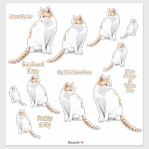 Sticker Stickset Lg Chats Orange et Blanc
