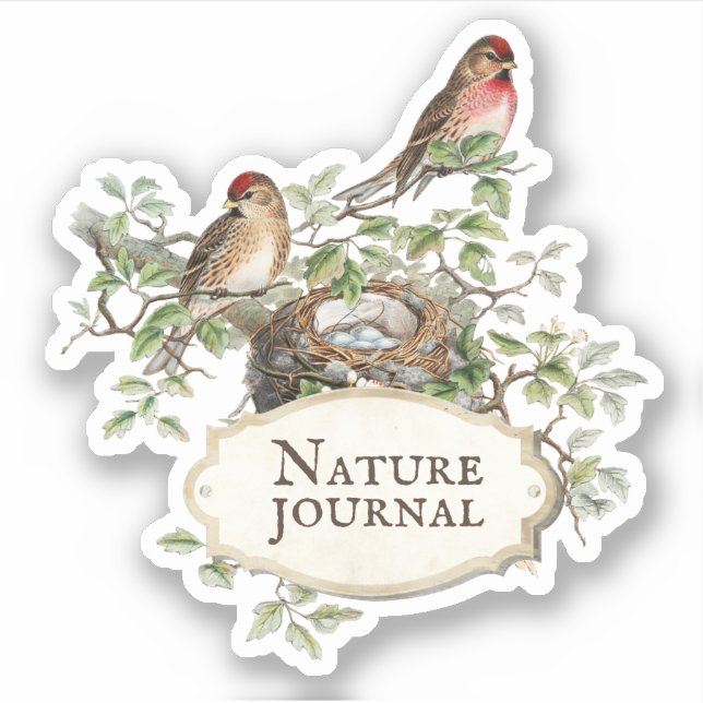 Sticker Sticleur de journal esthétique de nid d'oiseaux mo (Devant)