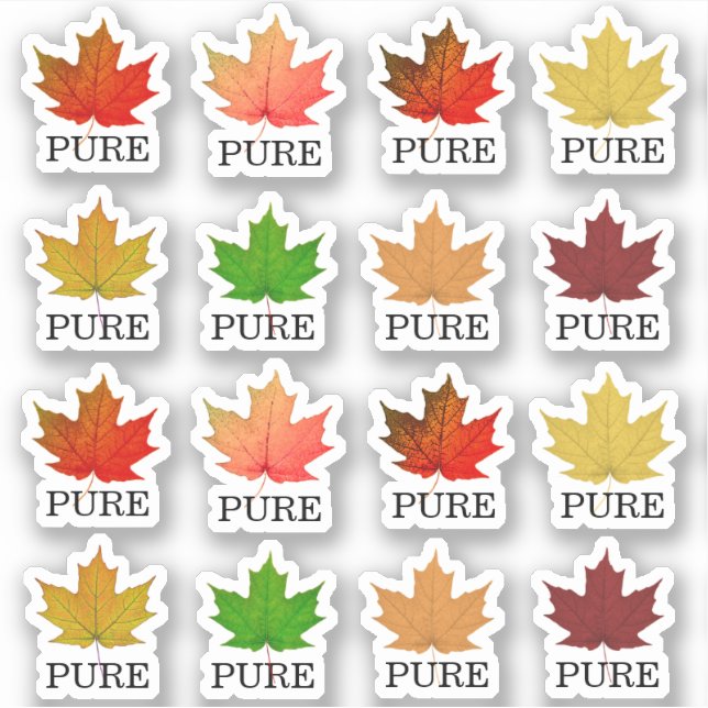 Sticker Sticleur PURE Feuille d'érable pour sirop d'érable (Devant)