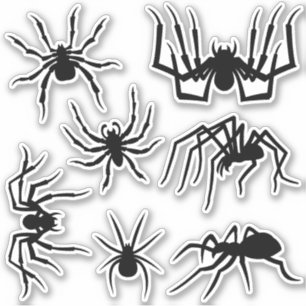 Sticker Sticleur Silhouettes Araignée