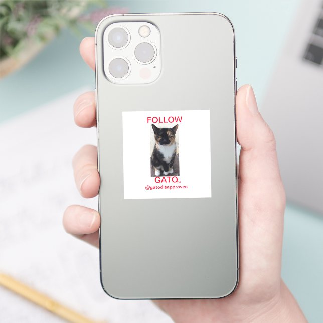 Sticker SUIVEZ GATO, Tous les Casquettes (Téléphone)