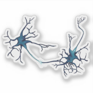 Sticker Synapse Entre Neurons, Neuroscience Neuron