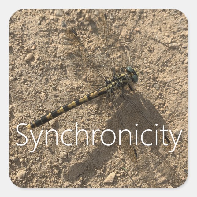Sticker 'Synchronicity' (Devant)