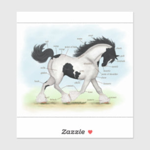 Sticker Tableau d'anatomie du cheval tzigane noir et blanc