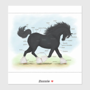 Sticker Tableau d'anatomie équestre du cheval de Trot