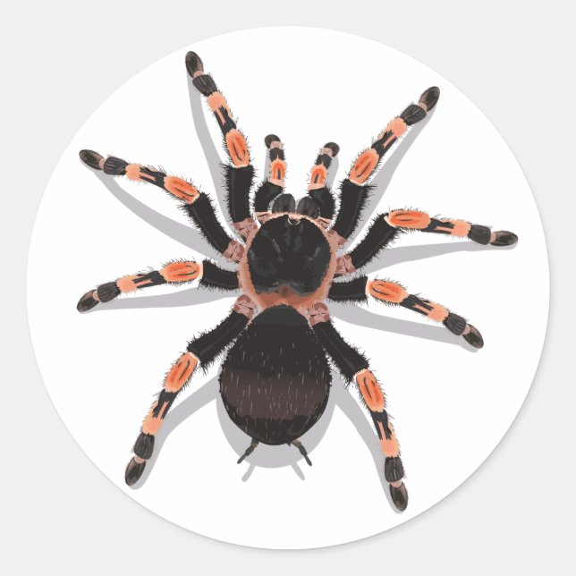 Sticker Tarantula (Devant)