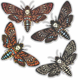 Sticker Tête de mort Hawkmoth Crâne Thorax 4 Variations