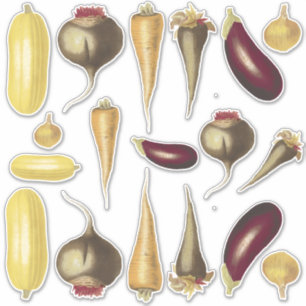 Sticker Thème alimentaire de légumes Vintages colorés asso