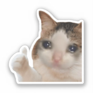Sticker Thumbs Up Ok Cat Meme