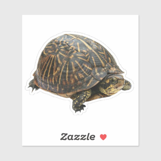 Sticker Tortue (Feuille)