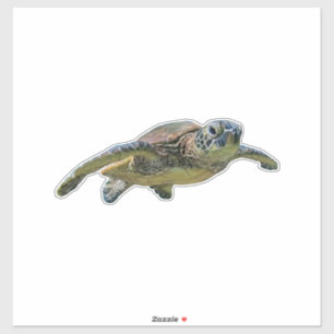 Sticker Tortue Copie Copie Copie Copie Copie Copie Copie C