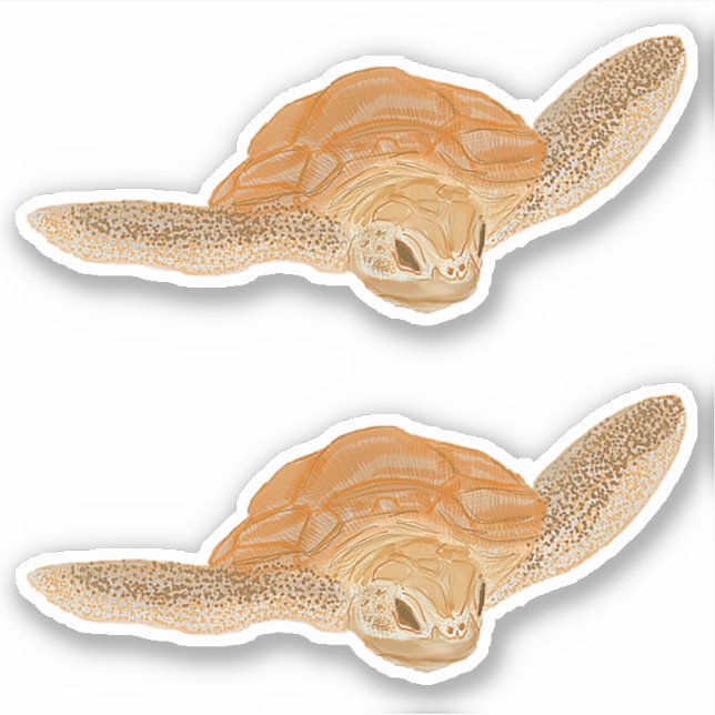 Sticker Tortue de mer dans l'eau - transparente. (Devant)