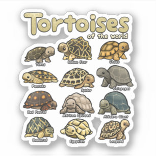 Sticker Tortues Animaux de la Tortue Reptile du monde