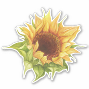 Sticker tournesol