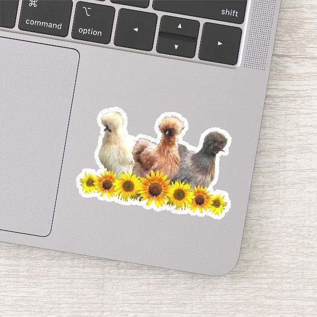 Sticker Tournesol Silkie Bantam Chicken Trio (Détail)