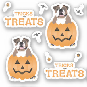 Sticker Tours de magie pour friandises Bouledogue Anglais 
