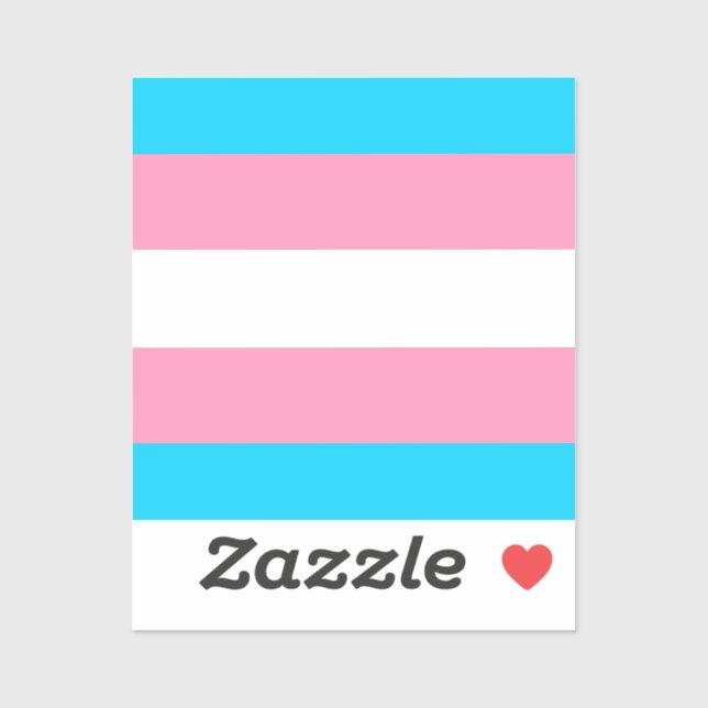 Sticker  Transgender Flag | LGBTQIA+  (Feuille)