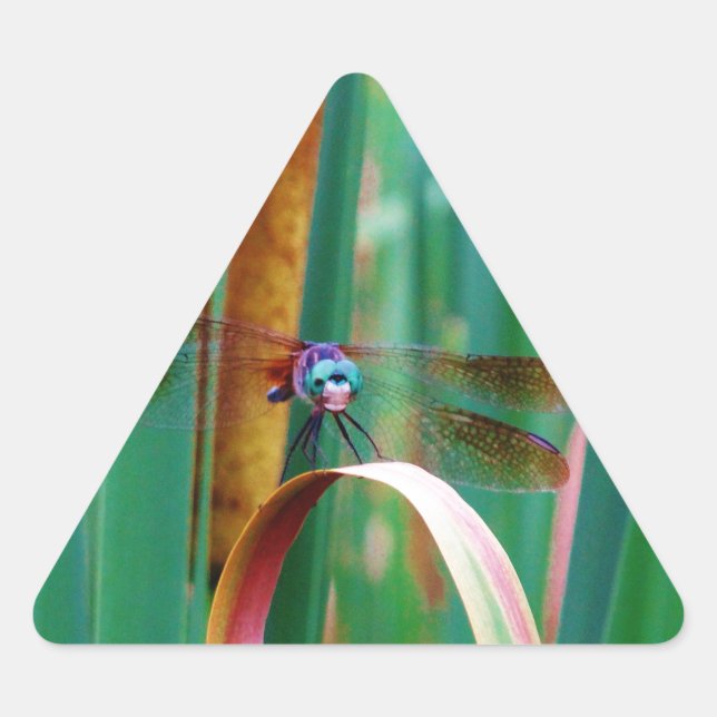 Sticker Triangulaire A teal Eyed Dragonfly with cattails (Devant)