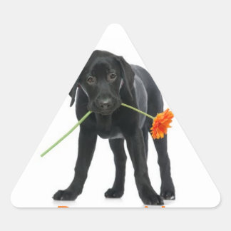 Sticker Triangulaire adhésif chien/fleur