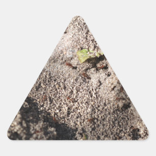 Sticker Triangulaire Ants Go Marching