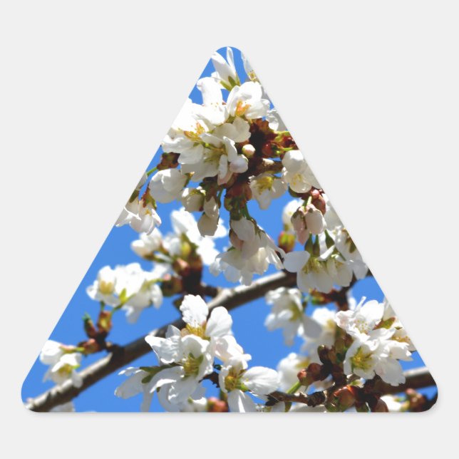 Sticker Triangulaire Arbre de printemps blanc fleuri blanc (Devant)