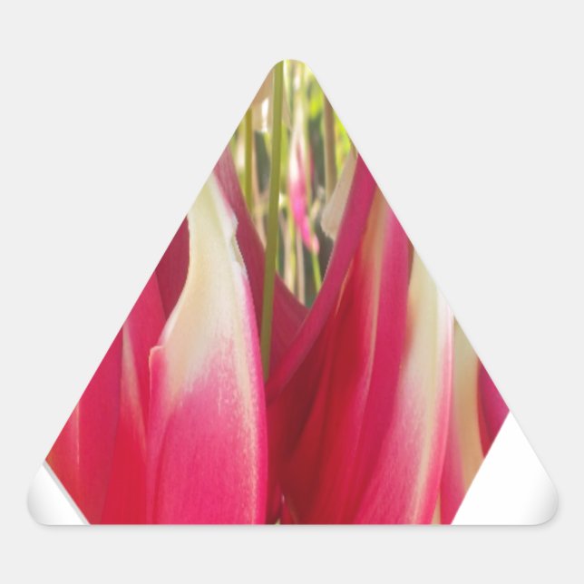 Sticker Triangulaire Art du coeur floral (Devant)