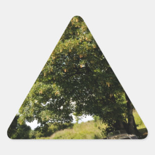 Sticker Triangulaire Bateaux à canaux