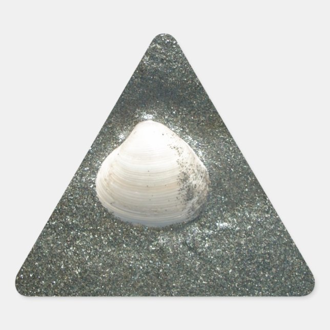 Sticker Triangulaire Beau coquillage dans le sable : Un souvenir salé (Devant)