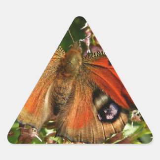 Sticker Triangulaire Beau papillon sur Fleurs