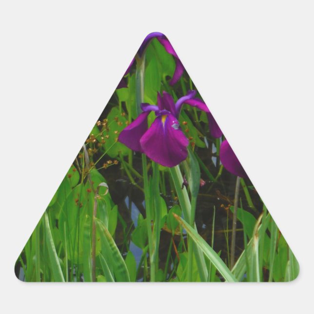 Sticker Triangulaire Belle Iris Violet (Devant)