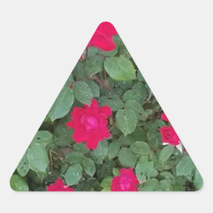 Sticker Triangulaire Belles Fleurs