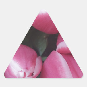 Sticker Triangulaire Bouquet de Pink Tulips, Flowers