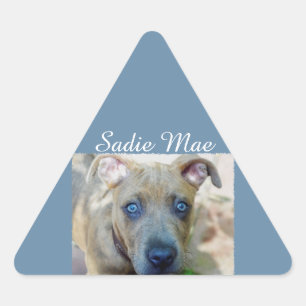 Sticker Triangulaire Brindle Pit Bull Puppy par Shirley Taylor