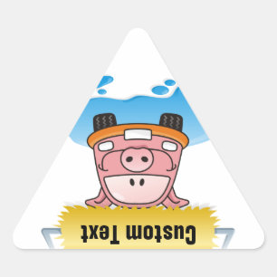Sticker Triangulaire Carwash Pig