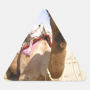 Sticker Triangulaire Chameau Désert Moyen-Orient Paix Amour Nature Dest