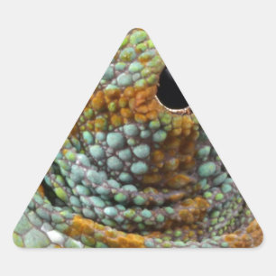 Sticker Triangulaire Chameleon Oeil Mod Élégant Animal
