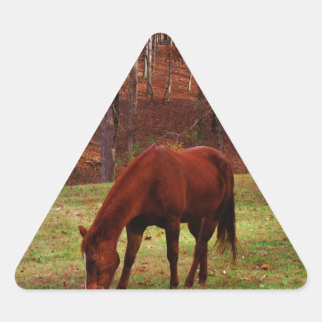 Sticker Triangulaire Cheval Brown avec nez blanc au bord des bois (Devant)