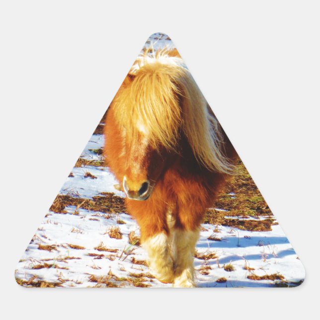 Sticker Triangulaire Cheval miniature Brown et crème dans la neige. (Devant)