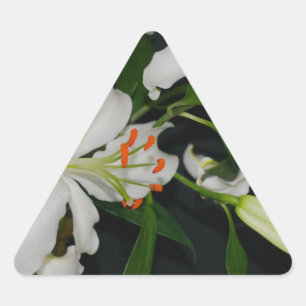 Sticker Triangulaire Collection Irlandaise de laiton et de fleurs