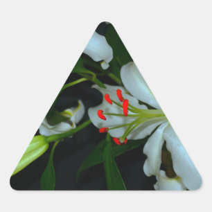 Sticker Triangulaire Collection Irlandaise de laiton et de fleurs