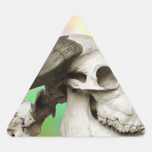 Sticker Triangulaire Crâne de buffle sur un Arrière - plan d'aquarelle