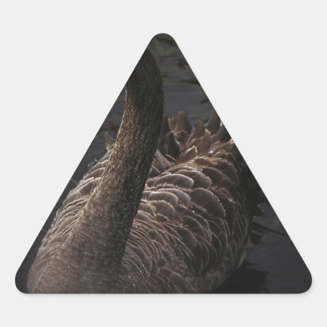 Sticker Triangulaire Cygne noir (Devant)